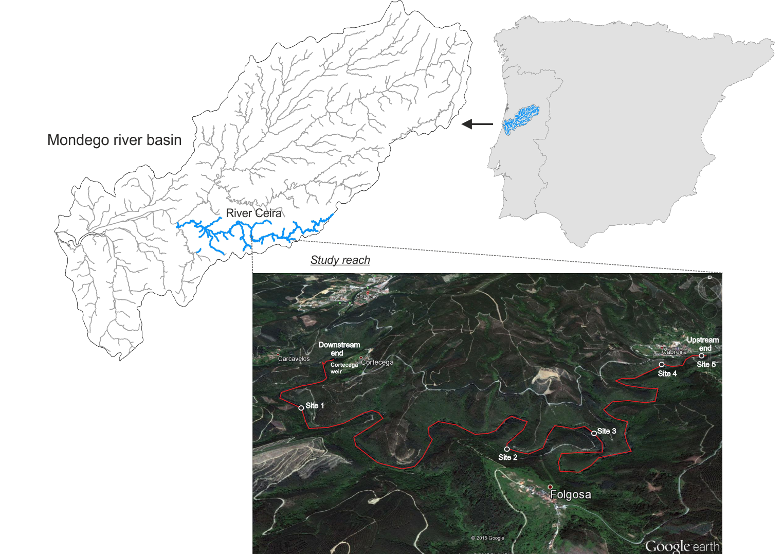 Study Reach Selected In River Ceira For The Restocking - Atlas (1523x1077), Png Download
