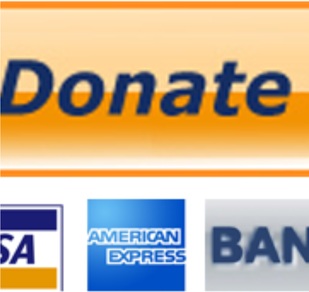 Paypal Donate Button (500x500), Png Download