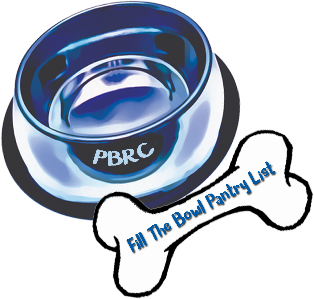 Paypal Donate Button Png Hd - Pit Bull (1098x1100), Png Download