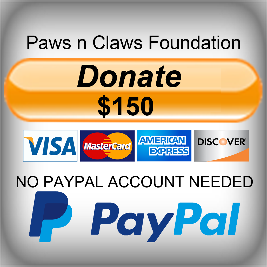 Sandi Paws Pet & People Parade - Card Payments Accepted Contactless (1028x1028), Png Download