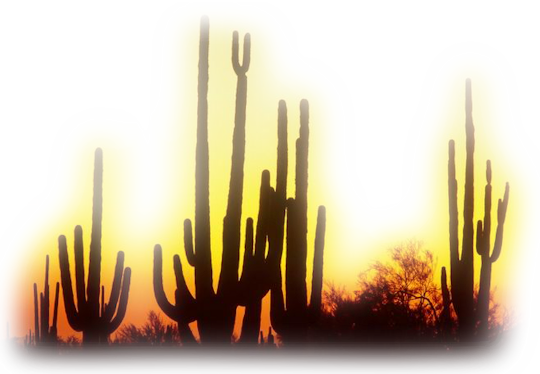 Western-41 - Western Png (540x374), Png Download