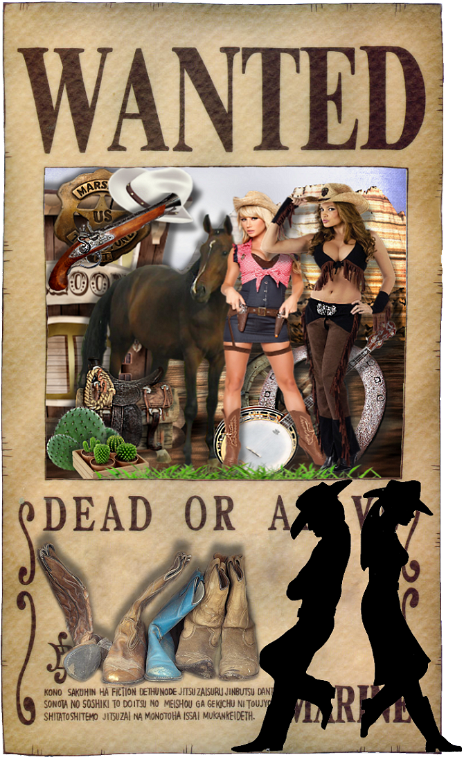 Western / Png - Wanted Portgas D Ace (804x1153), Png Download