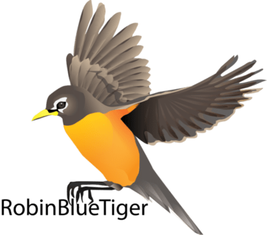 Birds Vector Robin - Robin Bird Flying Drawing (400x353), Png Download