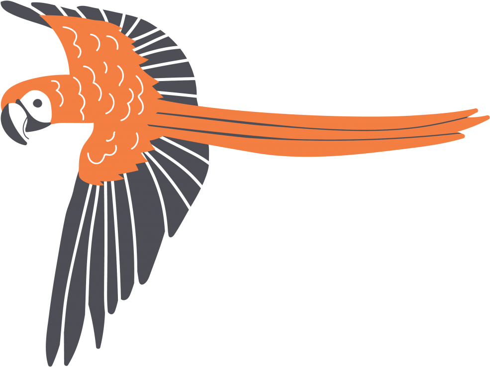 Pataka Will Add An Exotic Touch To Your Cocktail - Macaw (1024x788), Png Download