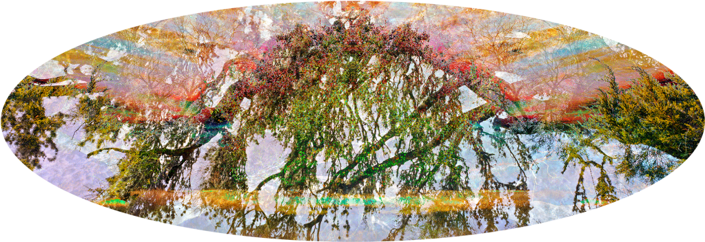Hdl9 - - Modern Art (1024x363), Png Download