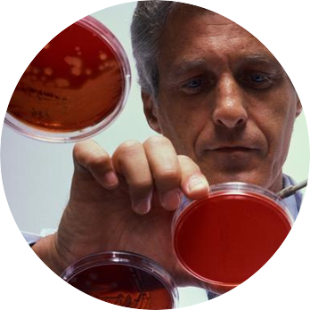 Off The Record Guide To Sexually Transmitted Disease (348x348), Png Download