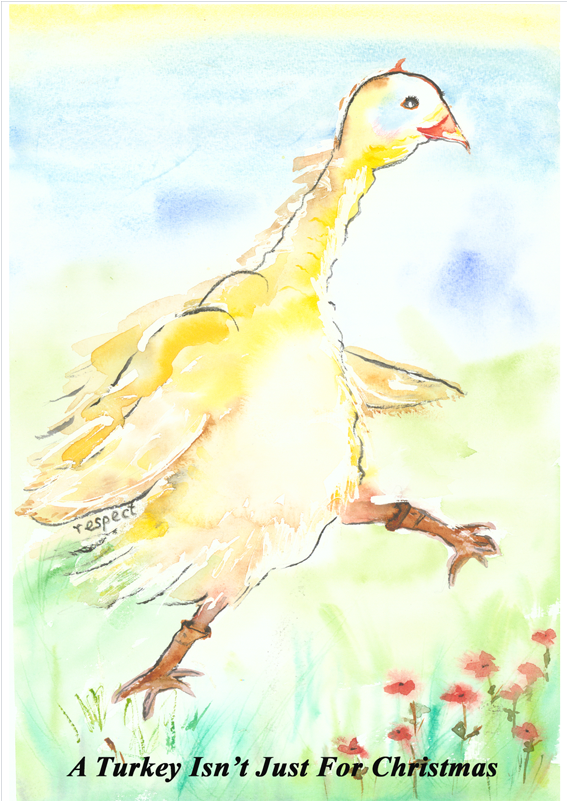 Crackers-christmas - Flightless Bird (800x800), Png Download