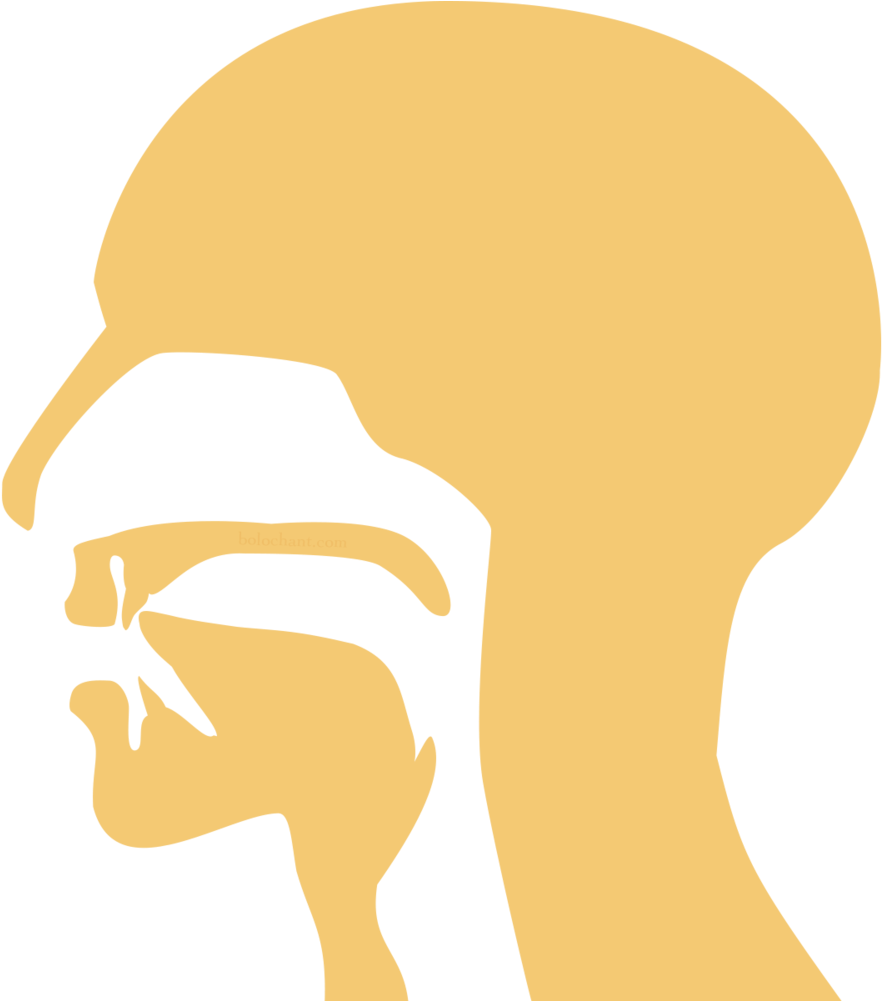 Labial (1000x1000), Png Download