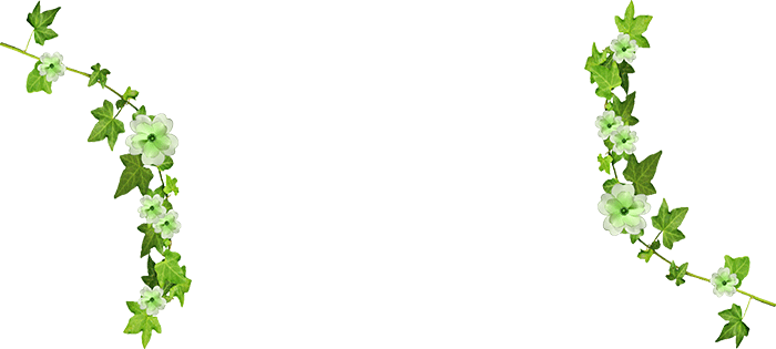 Tumblr Banners Free Download - Vines Tumblr Png (700x315), Png Download