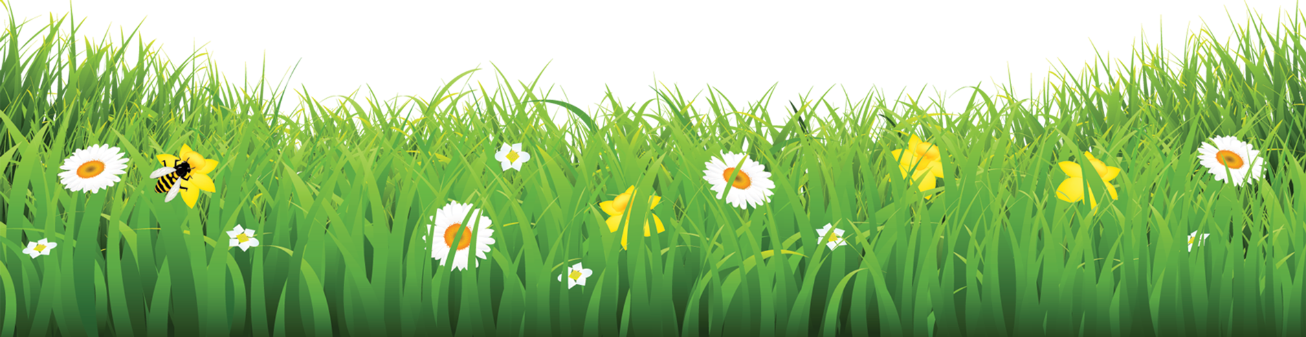 Grass-flower - Flower & Grass Pic Png (1900x491), Png Download