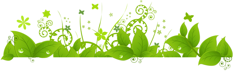 February Plantland Stats - Greek Border Snail Shower Curtain (750x228), Png Download