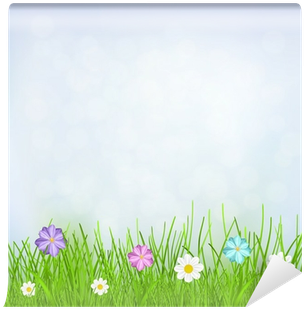 Background With Sky, Grass And Flowers Wall Mural • - Spanish Daisy (400x400), Png Download