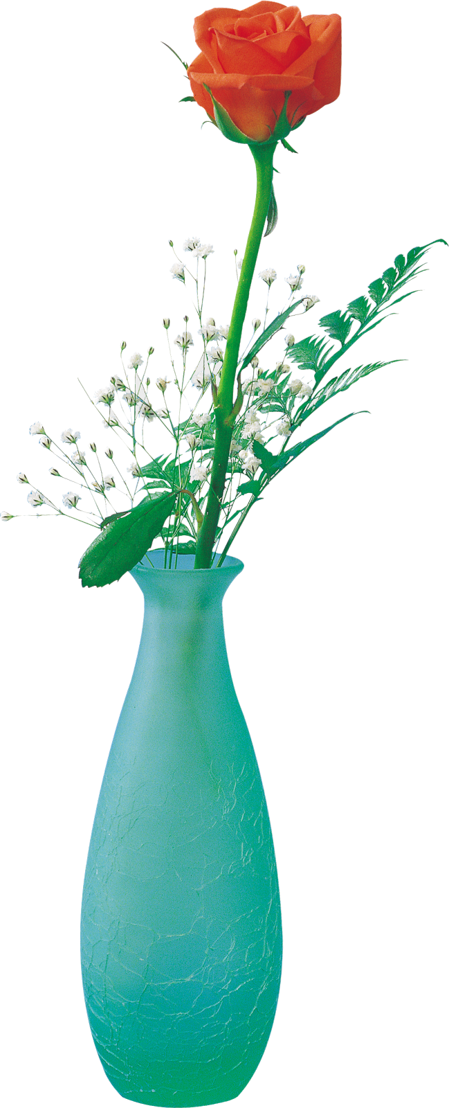 Free Png - Flower (649x1600), Png Download