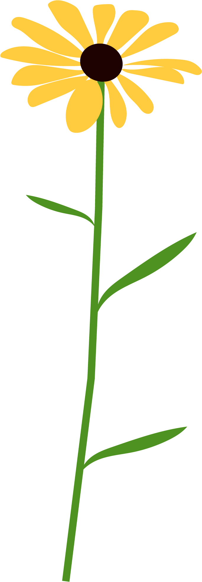 Flower 3 - Portable Network Graphics (721x1969), Png Download