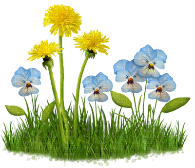 Kathleen Reynolds Grass Flowers Leafs - Clipart Fleurs Fond Transparent (400x346), Png Download