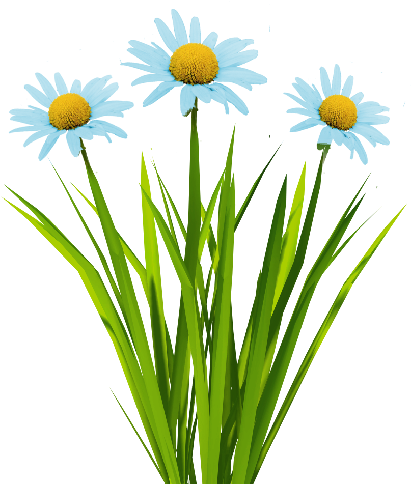 Billboard Texture Png - Grass With Flowers Animated (1024x1024), Png Download
