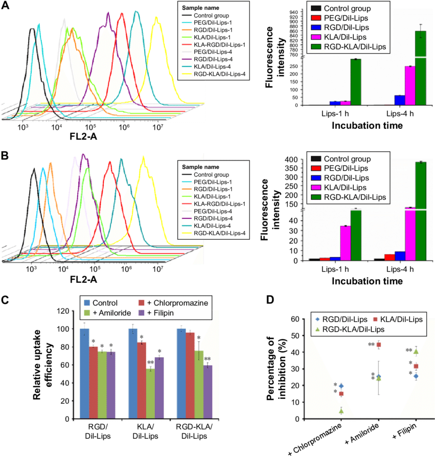 Cellular Trafficking Of Different Dil Loaded Liposomal - 4t1 (850x900), Png Download