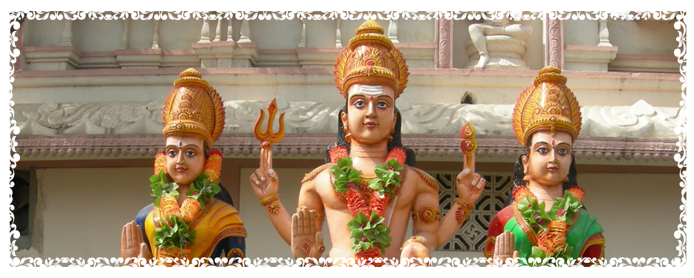 Mopidevi (1005x403), Png Download