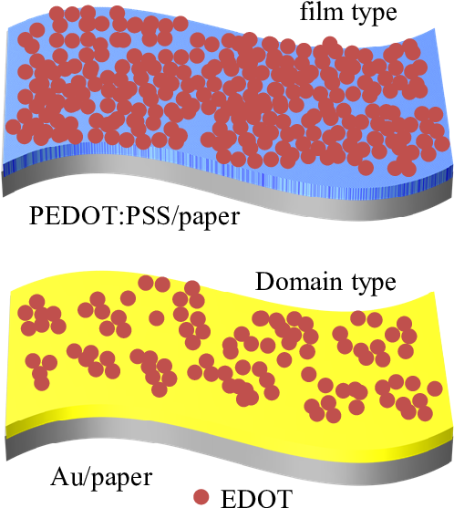 S3 Initial Stage Of Adsorption Of Edot Monomers On - Poly(3,4-ethylenedioxythiophene) (518x601), Png Download