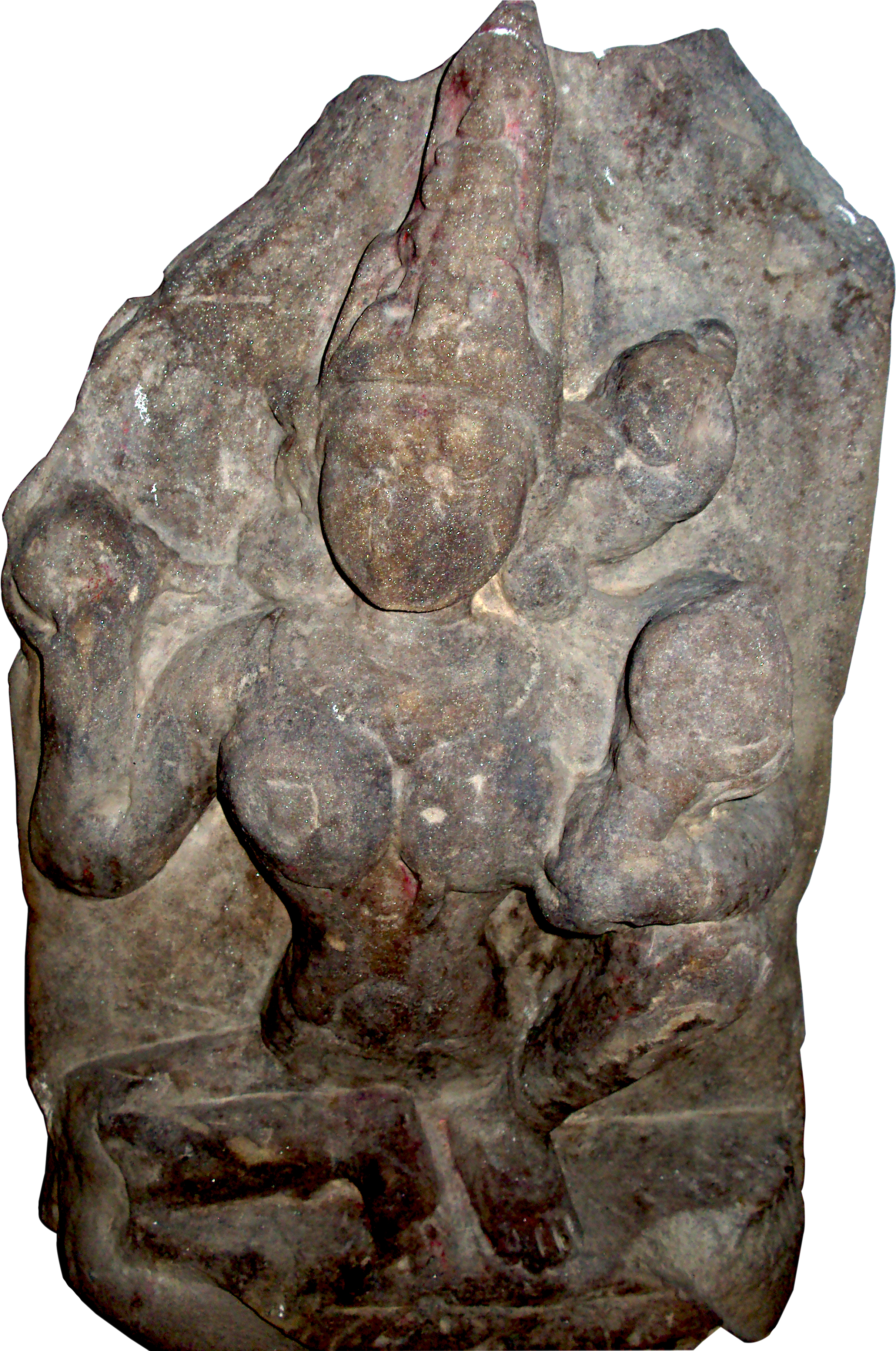 Dsc07654cutout - Artifact (2736x3648), Png Download