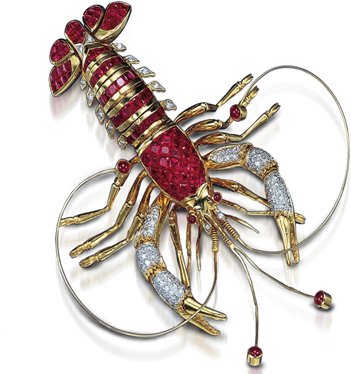 Second Slide - Insect (550x600), Png Download