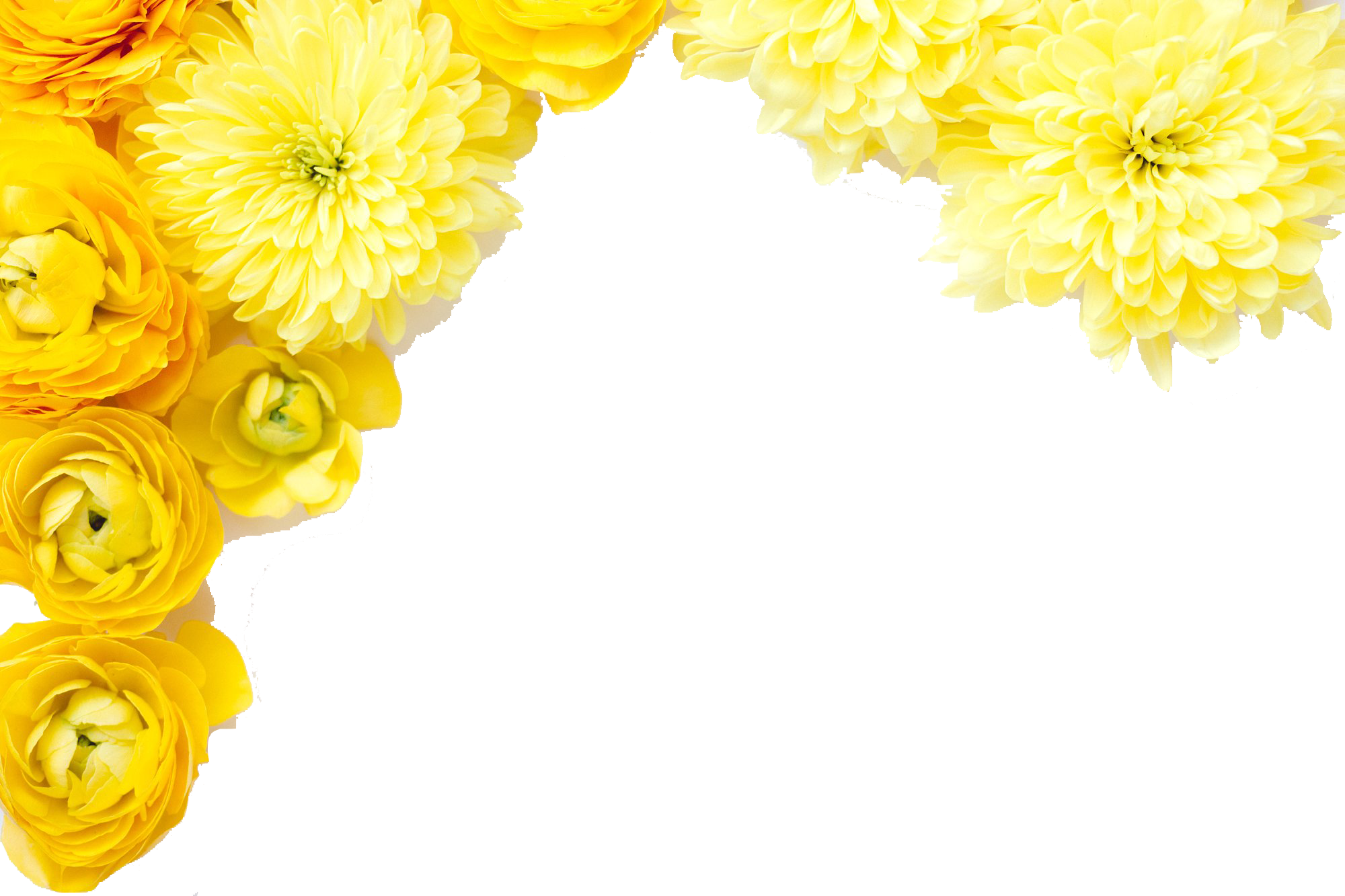 Background Flower Images Hd 3D / 3d Background Flowers Best 3d