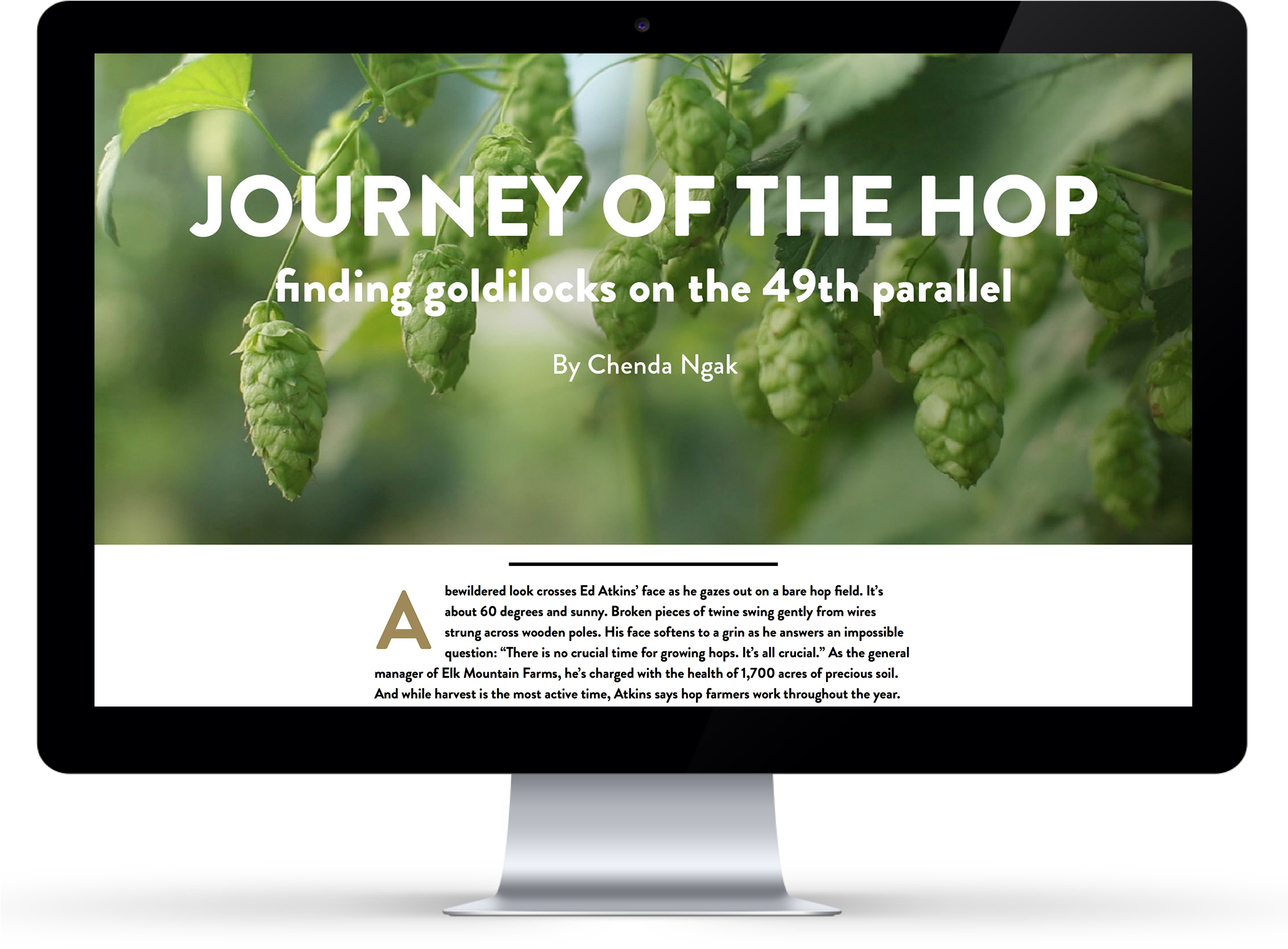 With So Many Craft Beers And Exciting Flavors On The - Led-backlit Lcd Display (2098x1609), Png Download