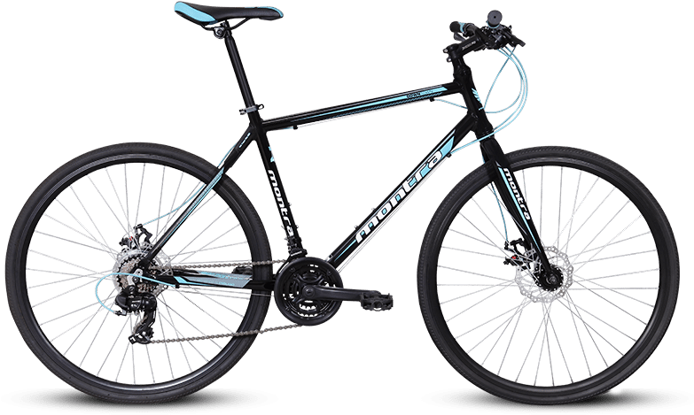 Barracuda Draco (800x485), Png Download