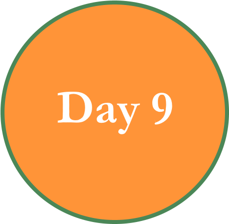 Kumartoli Potter'svillage, Where The Images Of The - Circle (539x502), Png Download