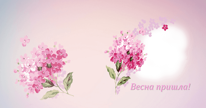 花 矢量 (800x419), Png Download