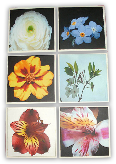 Selectables S0049 - Artificial Flower (540x540), Png Download