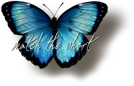 Butterfly Butterfly-hover - Blue Butterfly (442x284), Png Download