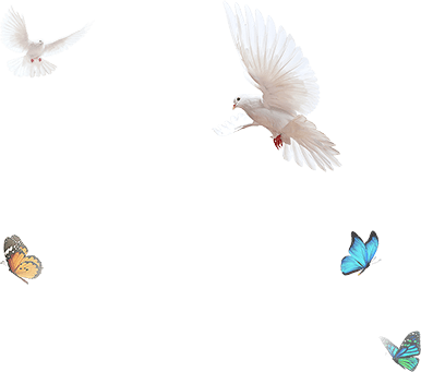 Birds Radha-kirsh Swing - Star Bharat (386x341), Png Download