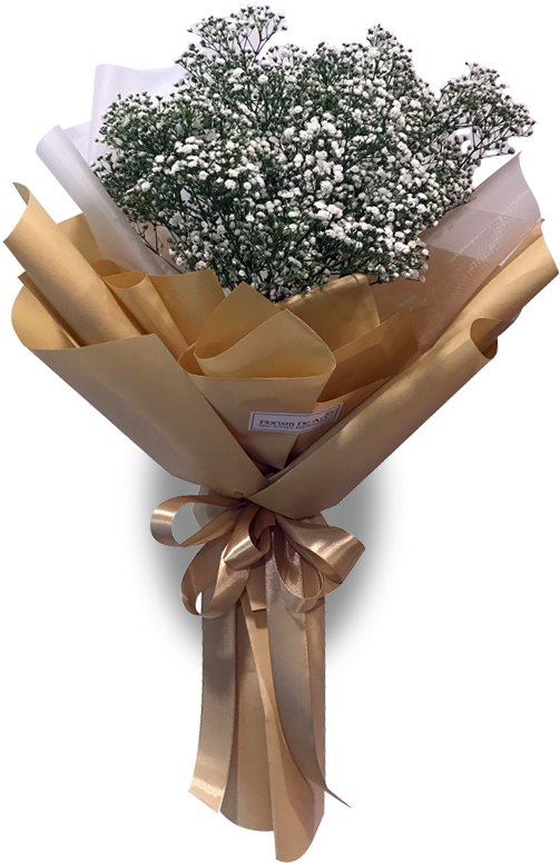 Download Babybreath White Florism De Art Png Image With No Background Pngkey Com