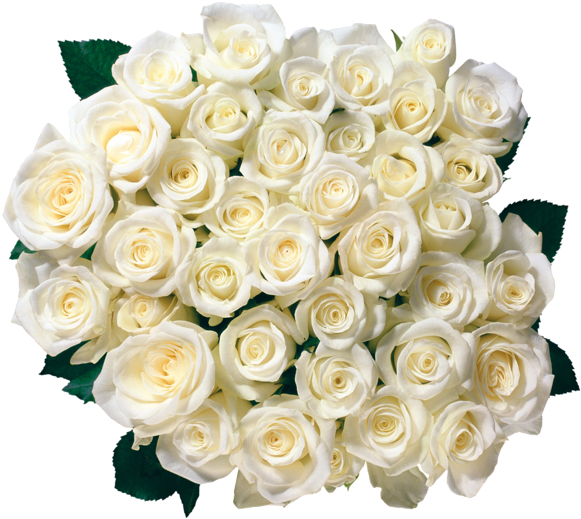 Download Flowers Clipart Birthday Roses, Order Flowers, Send White