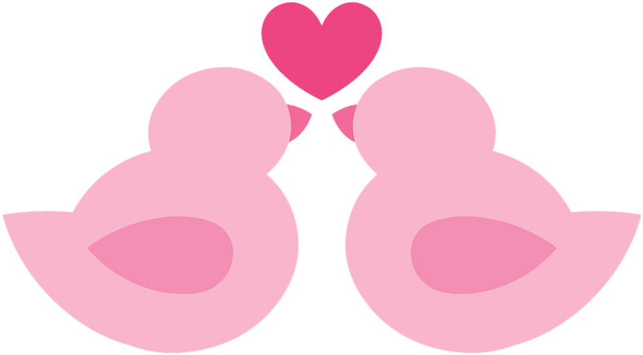 Birds,in Love,marriage,love,color Pink,pink,rosa, - Marriage (500x292), Png Download