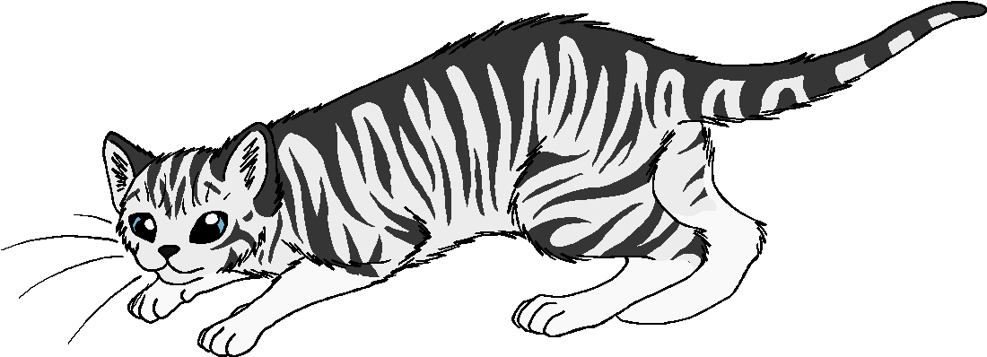 Warrior Drawing Tiger - Warrior Cats Wildfur (1176x482), Png Download