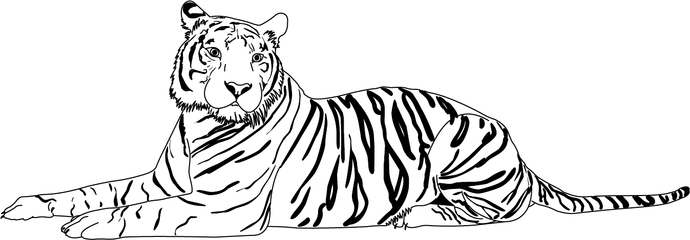 Tiger - Cat (1403x733), Png Download