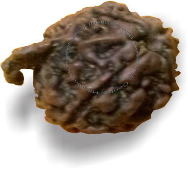 Ganpati Rudraksh - Chocolate (388x410), Png Download