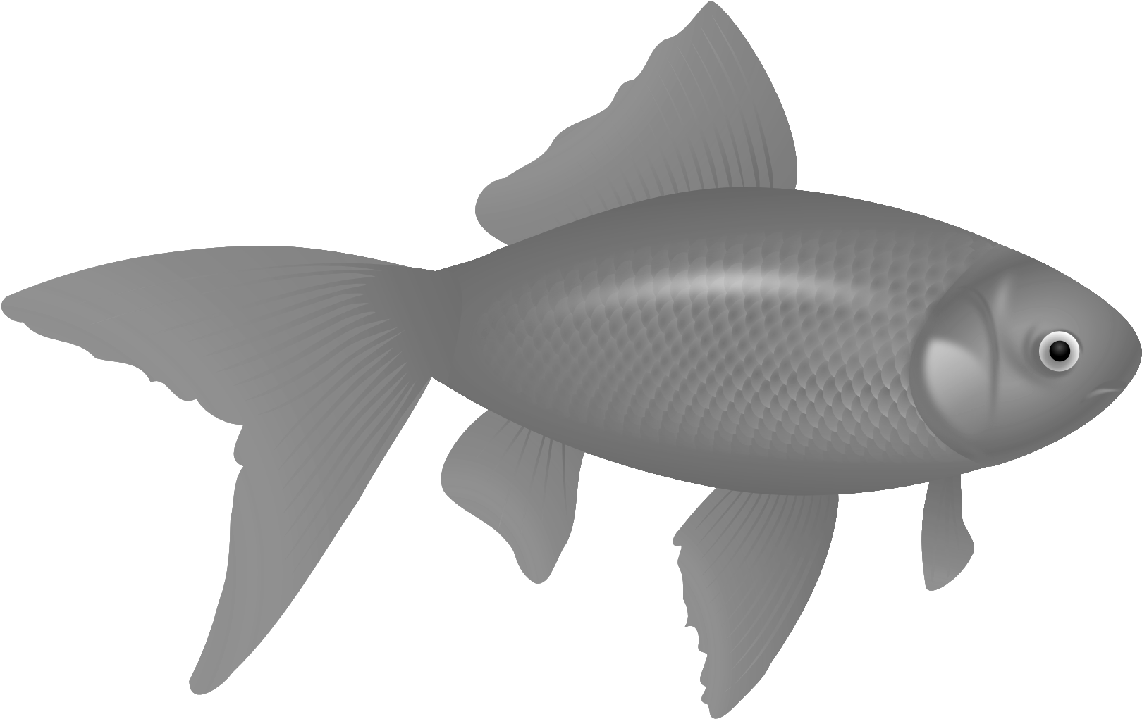 Fish Nine - Transparent Background Logo Png (1969x1307), Png Download