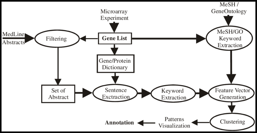 Experimental Design Of Gene Clustering With Sentences-level, - Diagram (850x440), Png Download
