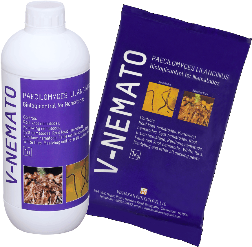 V-nemato - Carpenter Ant (1208x1244), Png Download