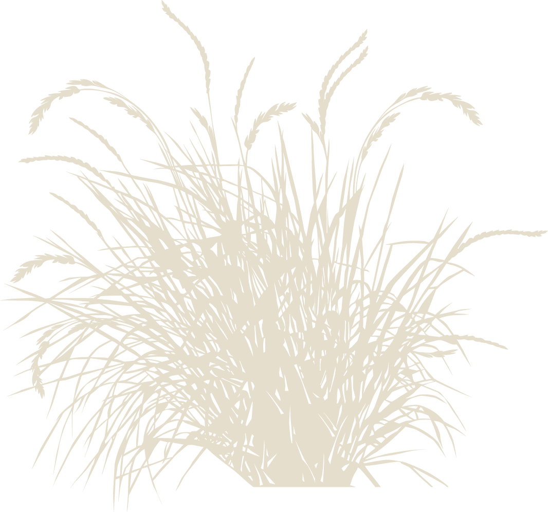 4 Revegetation Plan Example - Vector (1066x996), Png Download