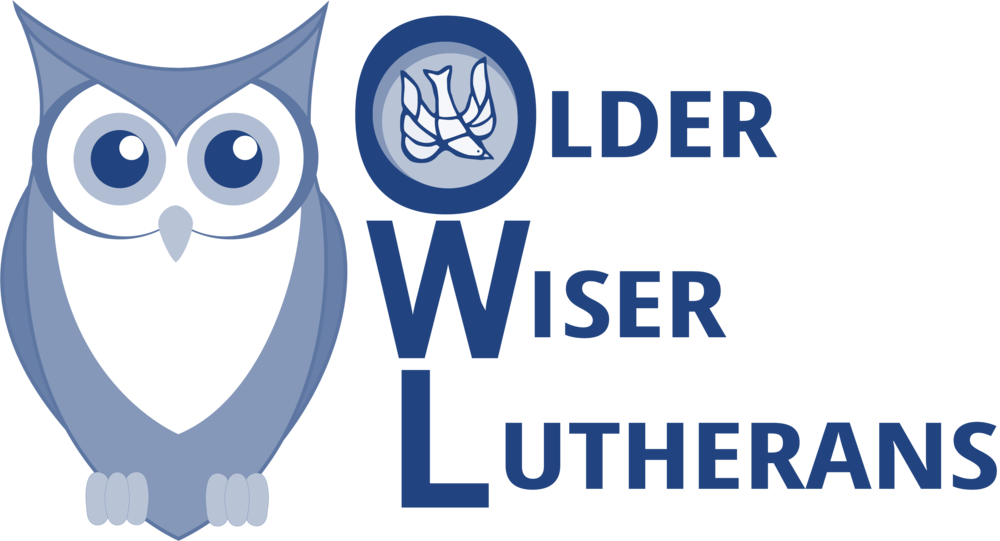 Owls Logo V2 - Cartoon Owl Birds Png (1000x541), Png Download
