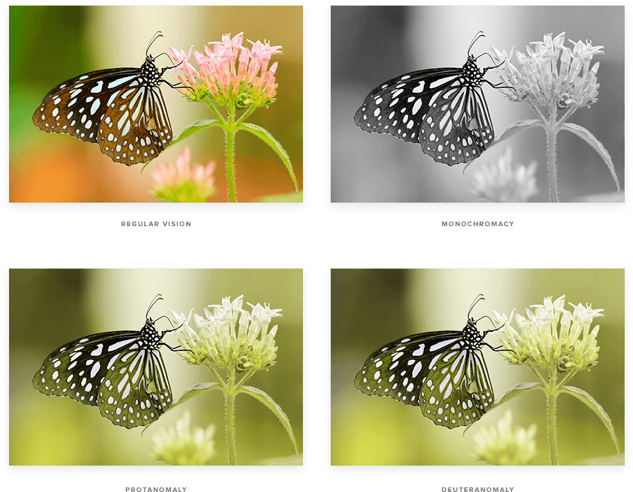 Colours - Butterfly-amazing Paintings-25 (990x708), Png Download