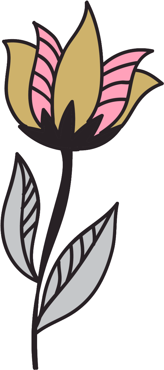 This Graphics Is Hand Painted Flowers Harajuku Style - Tulipa Humilis (1024x1389), Png Download