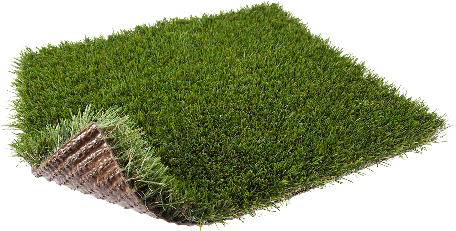 Our Best Selling Grass By Far, A Great Grass For Any - Green (1500x1000), Png Download