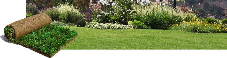 Image - Landscape (770x199), Png Download