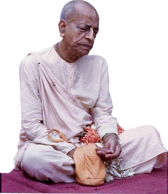 Mahanila Store - Prabhupada Chanting Hare Krishna Vrindavan (555x640), Png Download