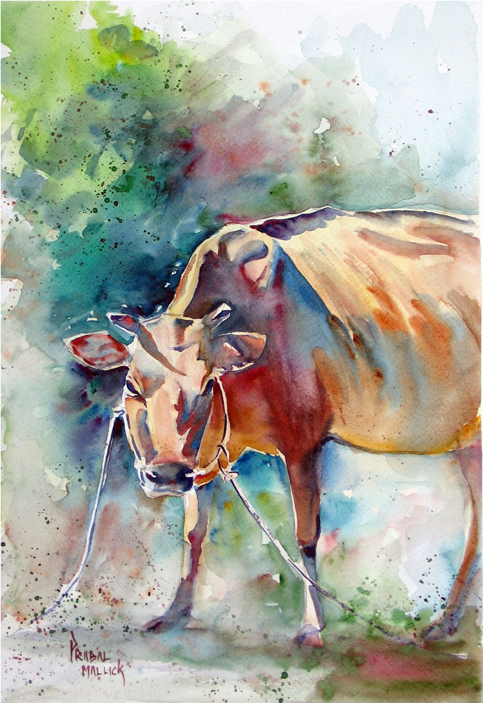 Cow Png Images (1000x1000), Png Download